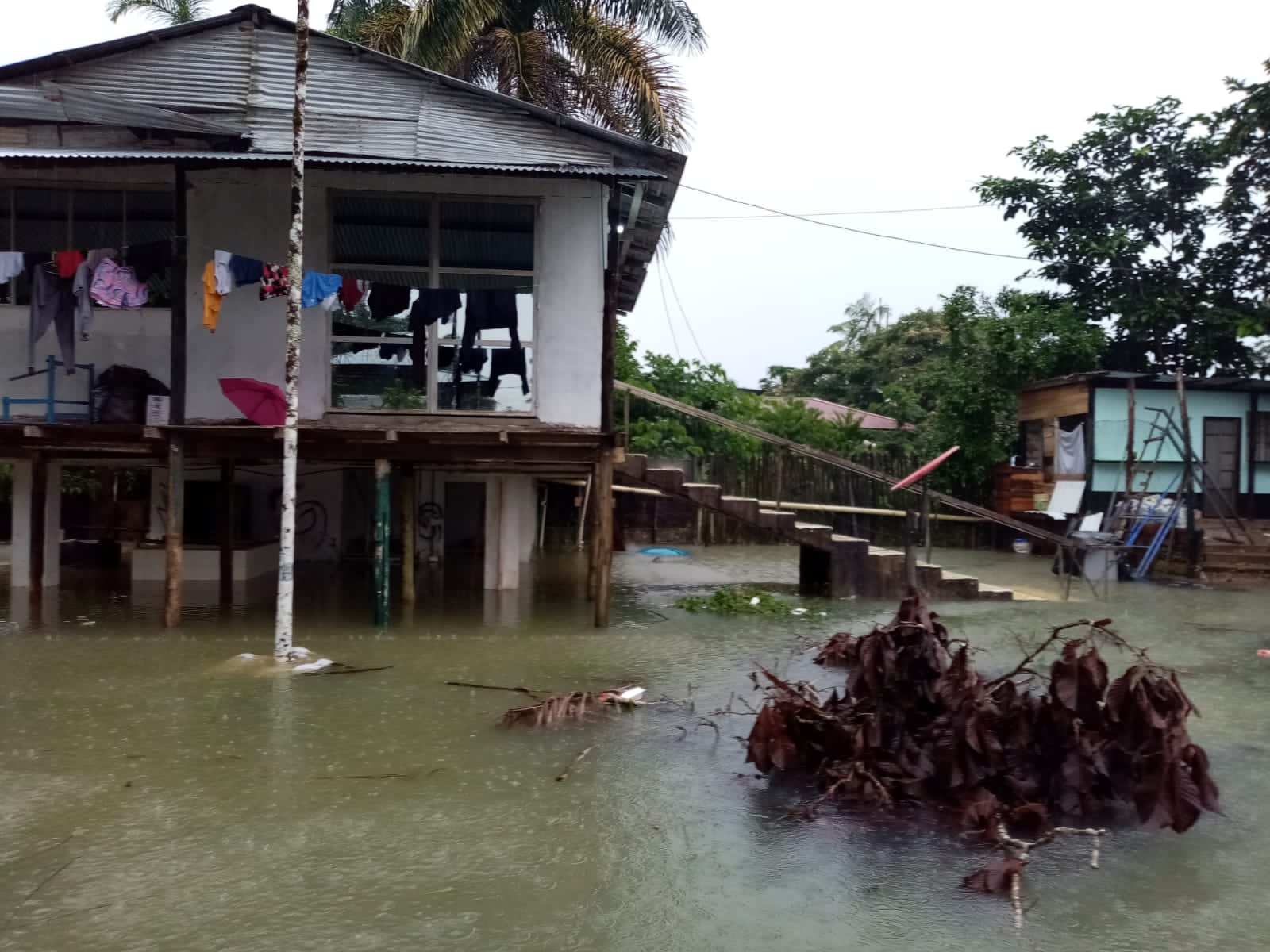 Deforestación, una de las causas de las inundaciones en Caquetá, Vaupés y Guaviare