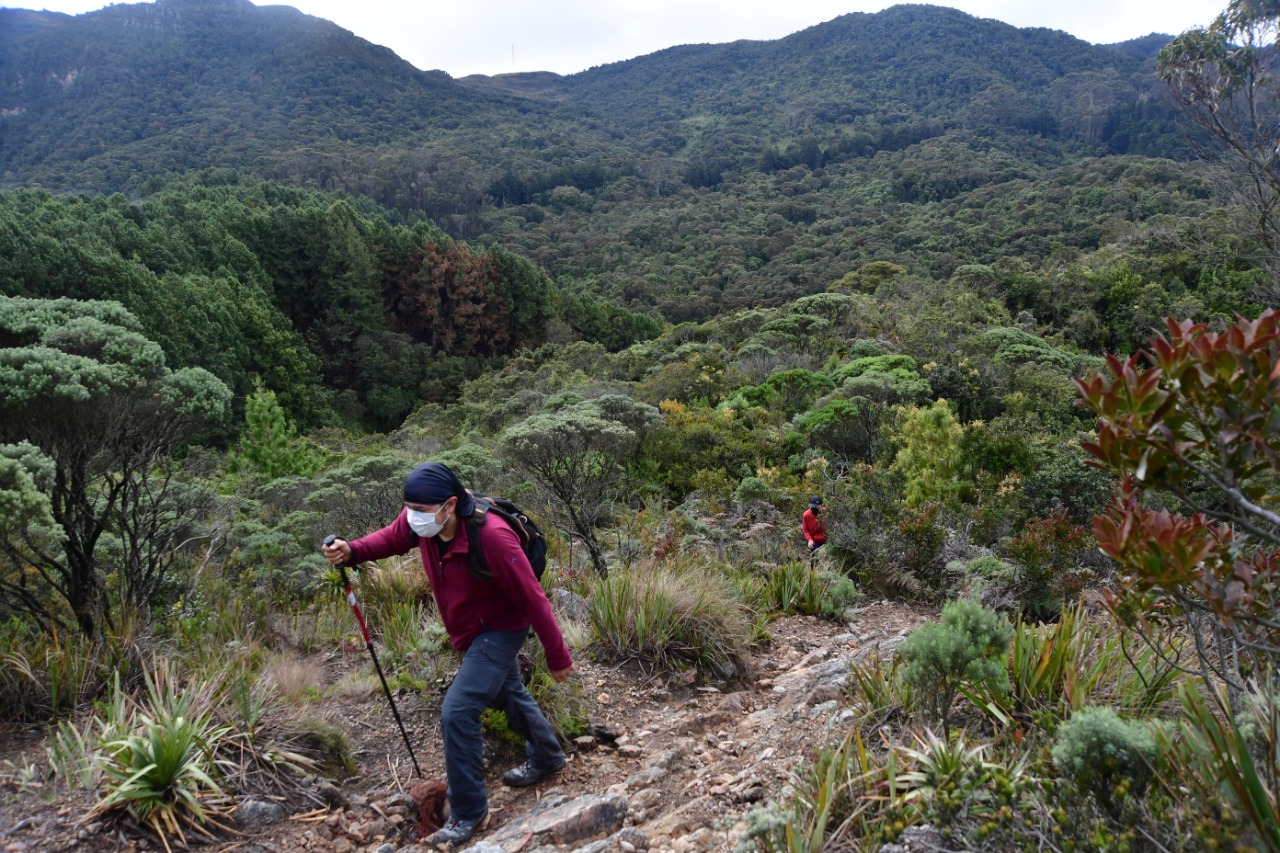 Personas caminando sobre la montaña.