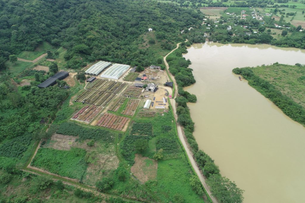 Reforestadora del Sinú
