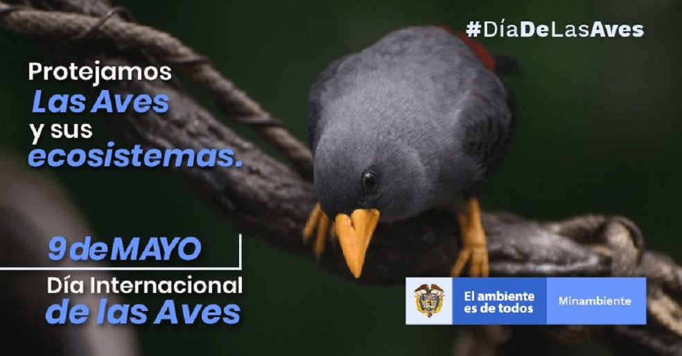 Aviso promocional del Día de la Aves, con la imagen de un ave asiática.Ministerio de Medio Ambiente¿Qué debería pasar después de este triunfante tricampeonato de pajareo mundial para impulsar la conservación de las aves y proveer mejores condiciones económicas en el campo?