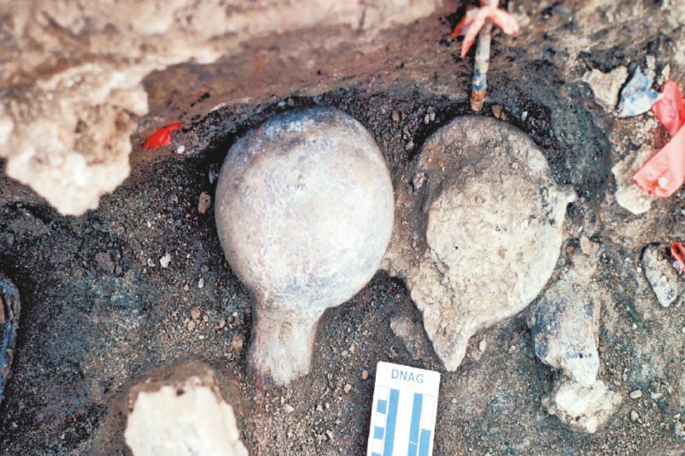 Huesos de mastodonte hallados en San Diego, California, en 1996. / San Diego Natural History Museum