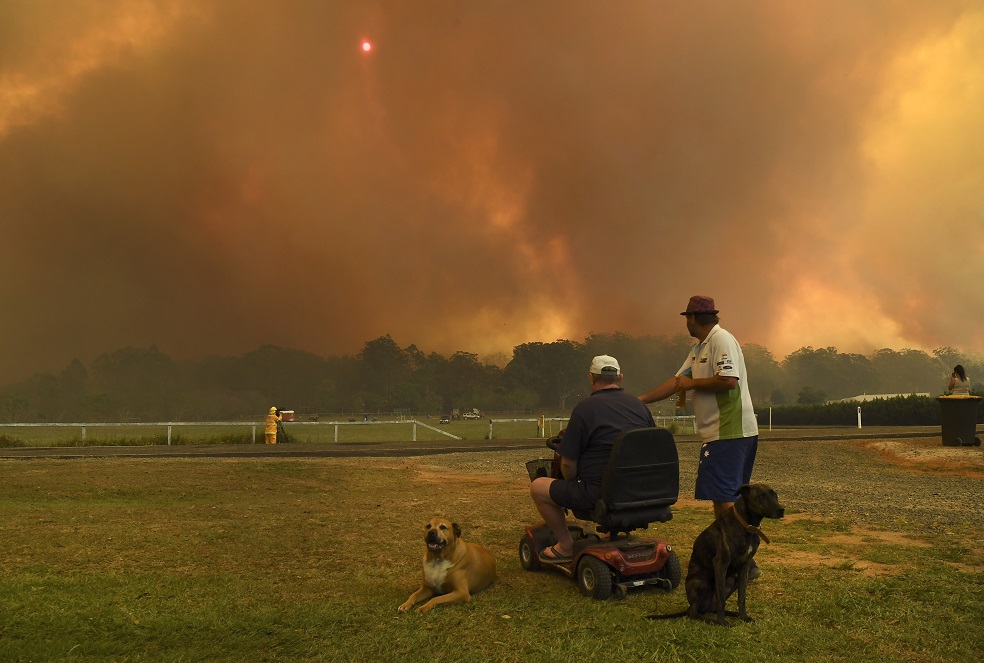 Foto:AFP"Es realmente aterrador cuando tienes que pensar en toda la familia y si vas a perder todo o no, y tratar de decidir qué llevarte contigo", declaró al canal publico ABC Donna Benstead, residente en Port Macquarie, a unos 400 kilómetros al norte de Sídney.