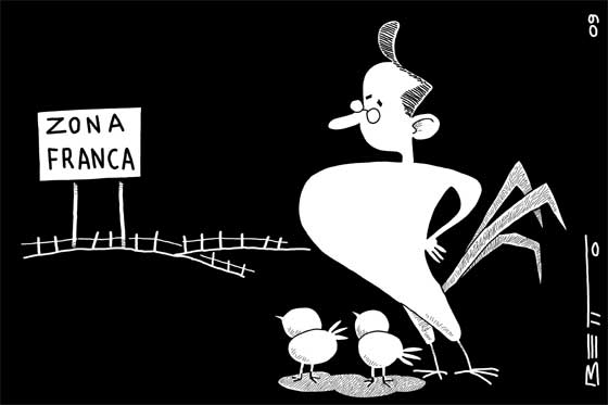 Los pollitos dicen