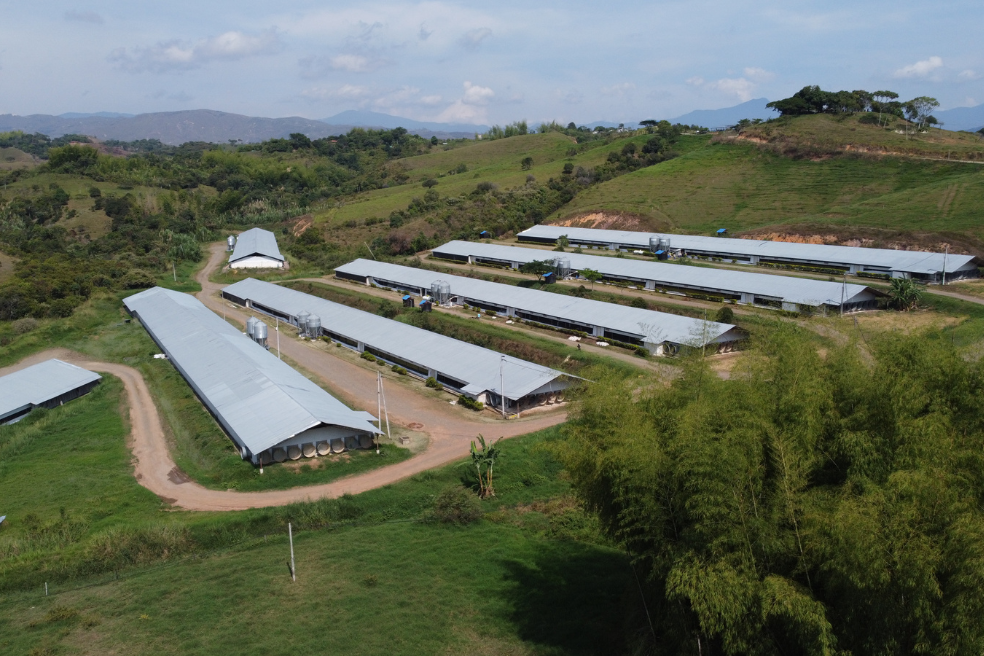 Esta es Granja Salomé, hacienda que afros y campesinos reconquistaron de narcos en Cauca