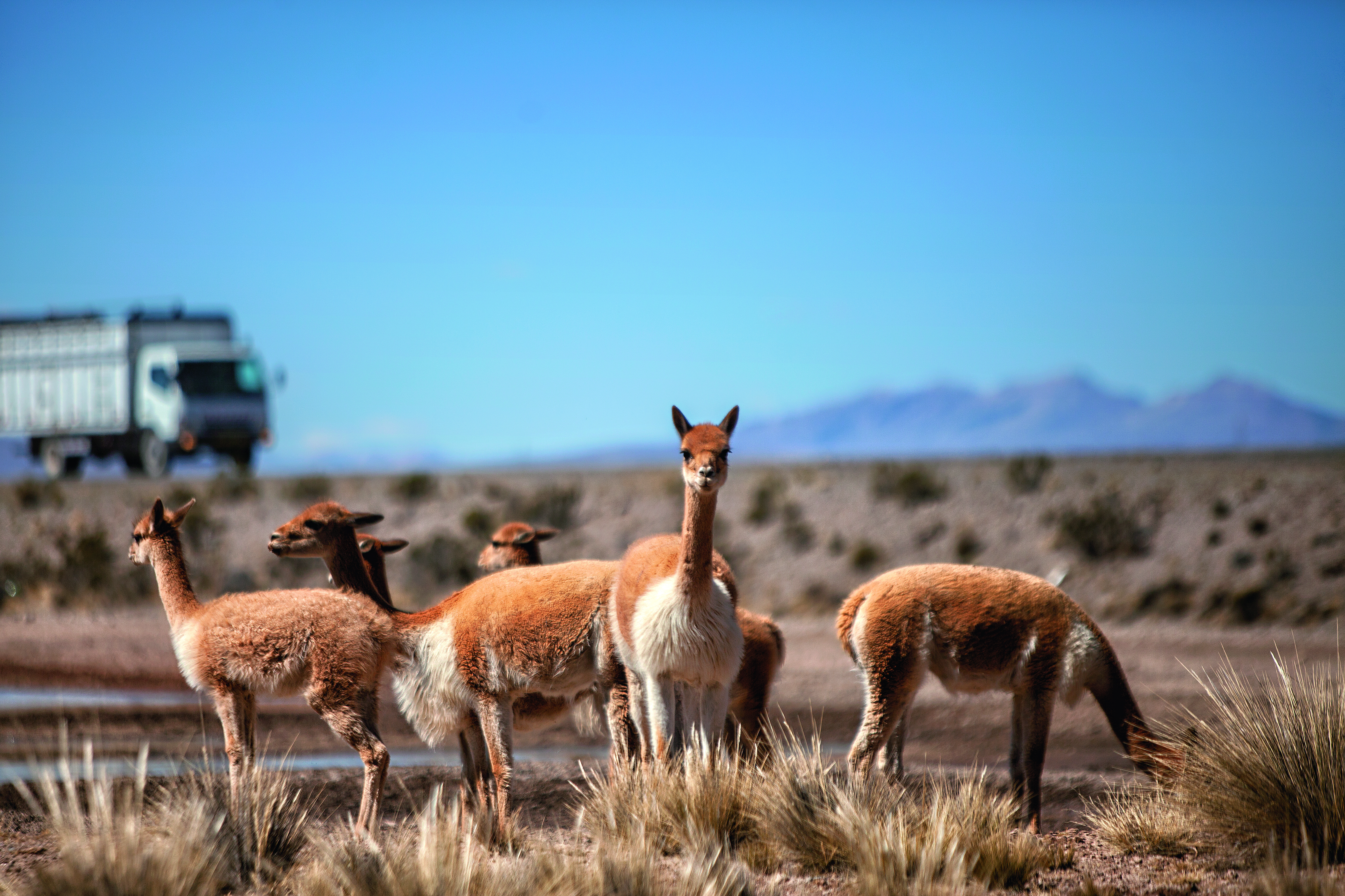 Arequipa busca ser el primer Destino Turístico Inteligente de Perú
