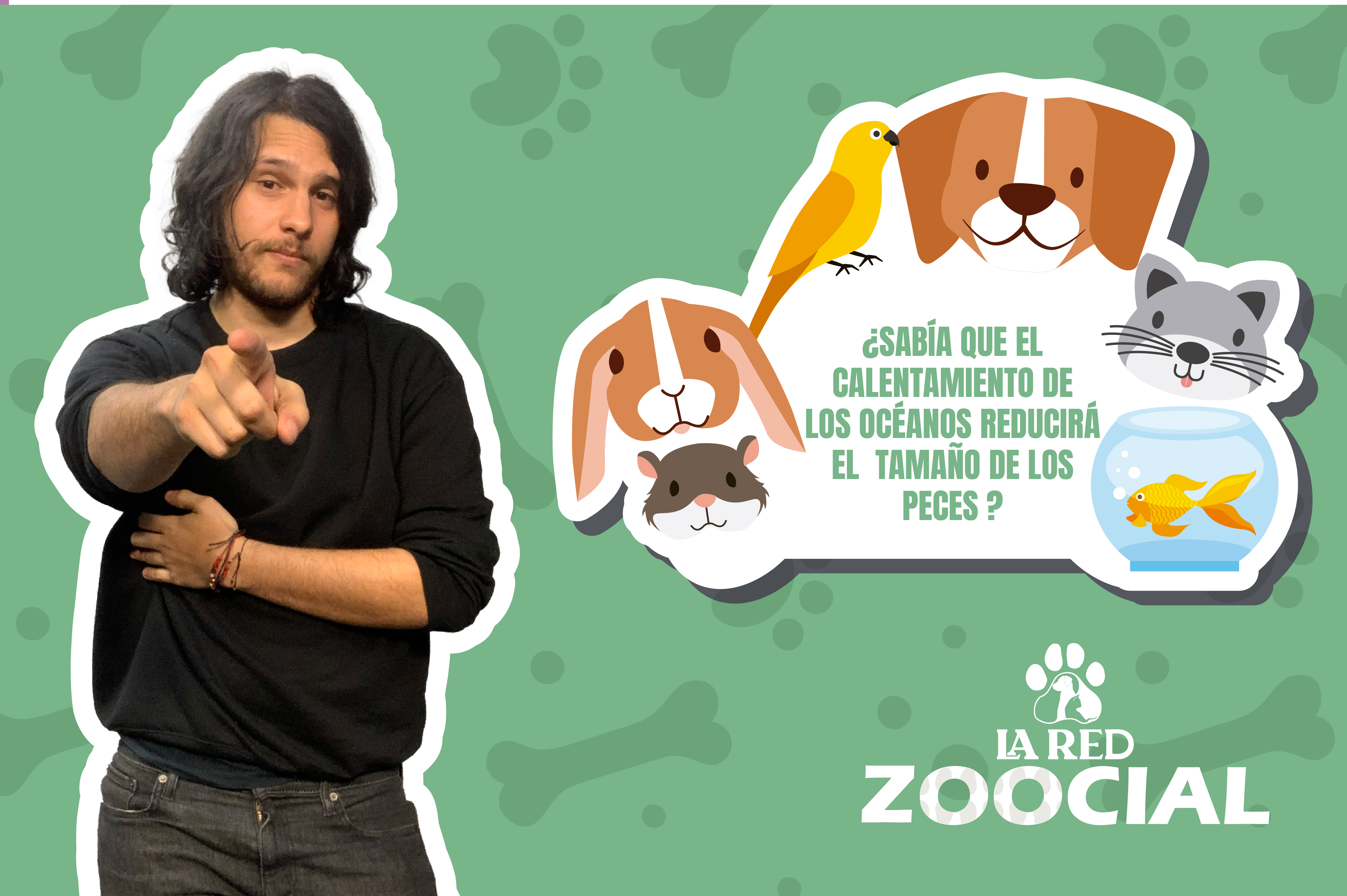 VÍDEO: ¿Sabía que el calentamiento de los océanos reducirá el tamaño de los peces?