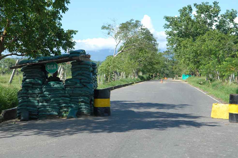 Enigmas del plagio exprés en el Caguán