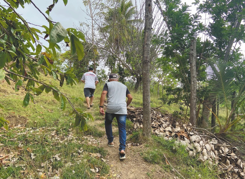 Morir esperando la restitución de tierras: el caso de los reclamantes del Urabá