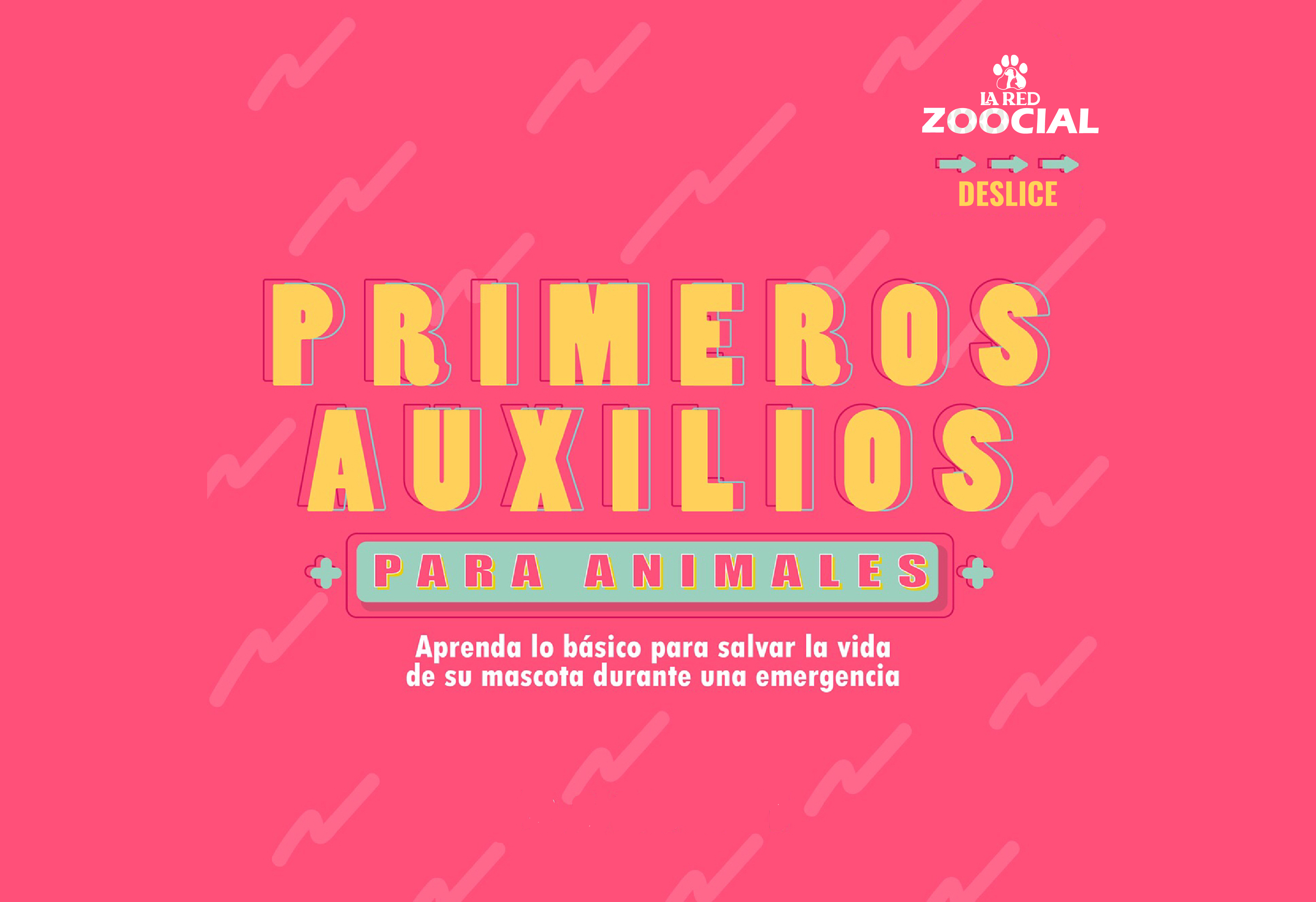 Primeros auxilios para animales