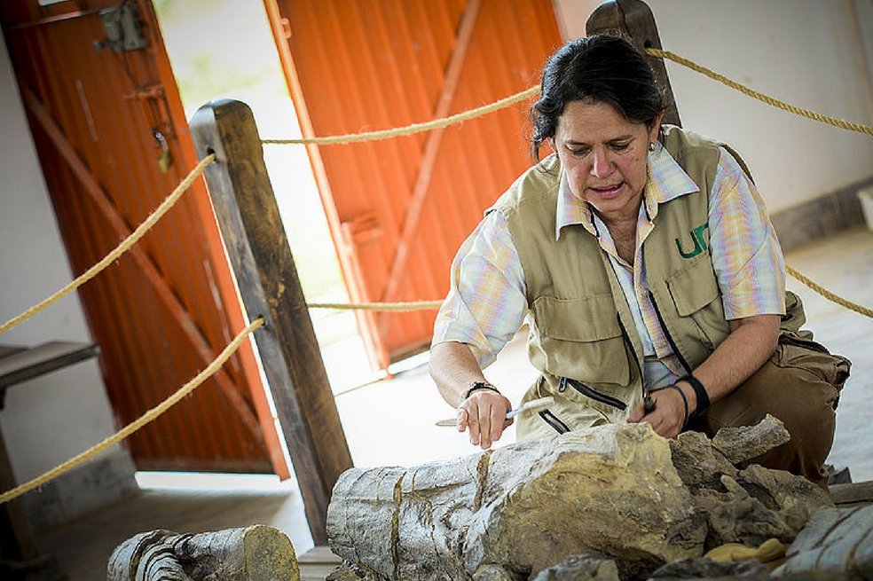 En Sáchica, Boyacá, está el pliosaurio más grande del mundo