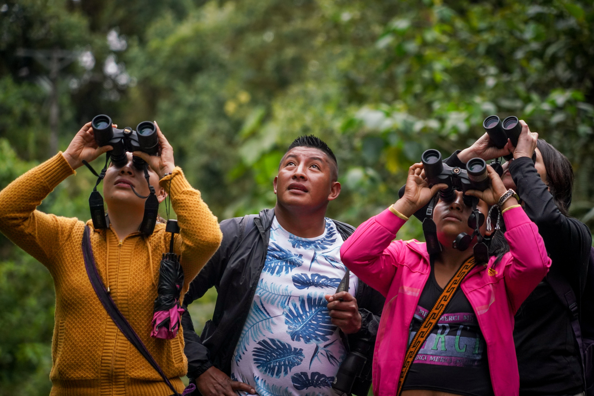 Turismo científico y de naturaleza en la reserva natural La Planada. / Foto: Fernando Guacas- Instituto Humboldt.