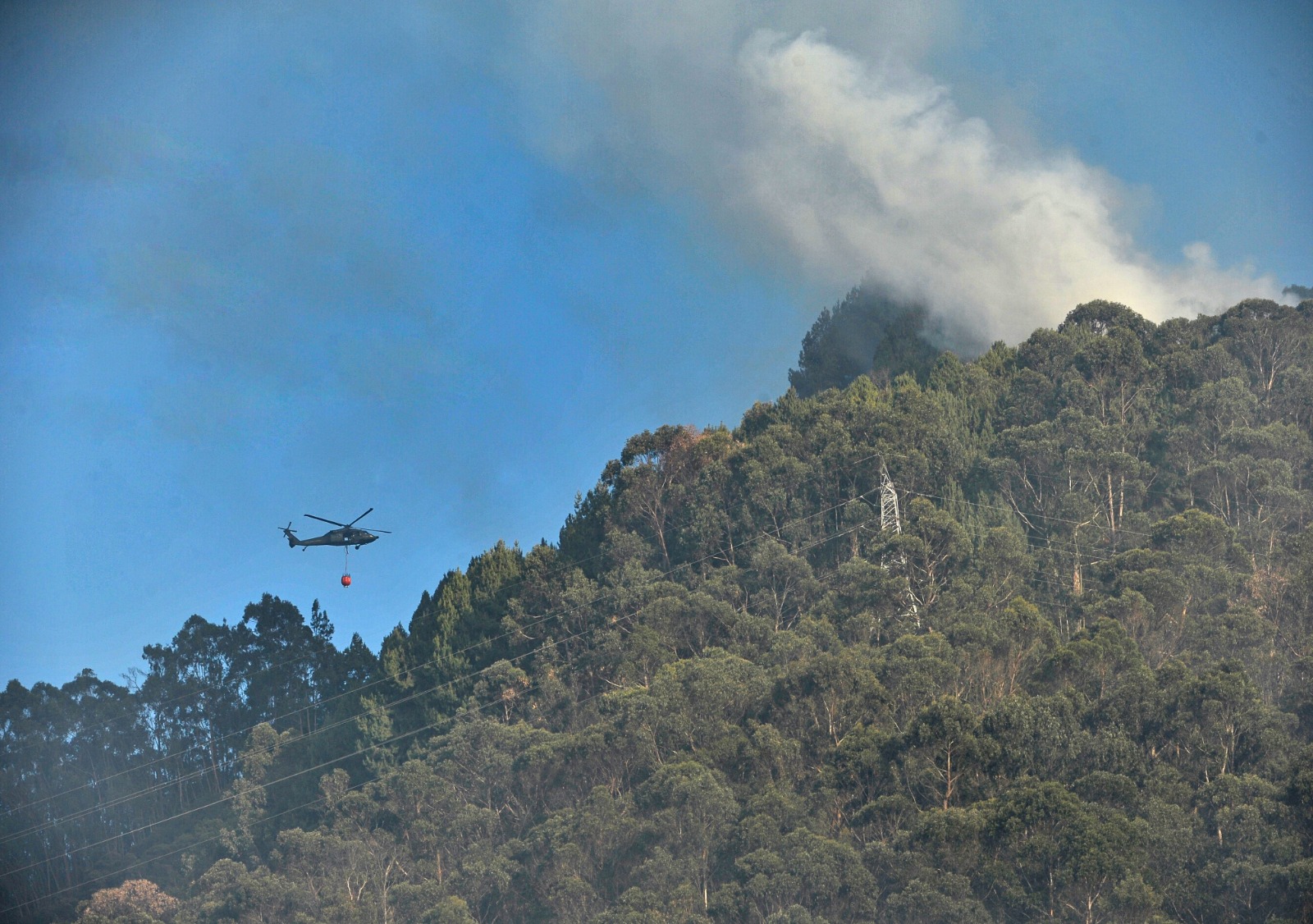 Gran incendio forestal en los Cerros Orientales habría sido provocado por una fogata