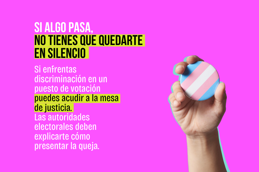 Voto trans