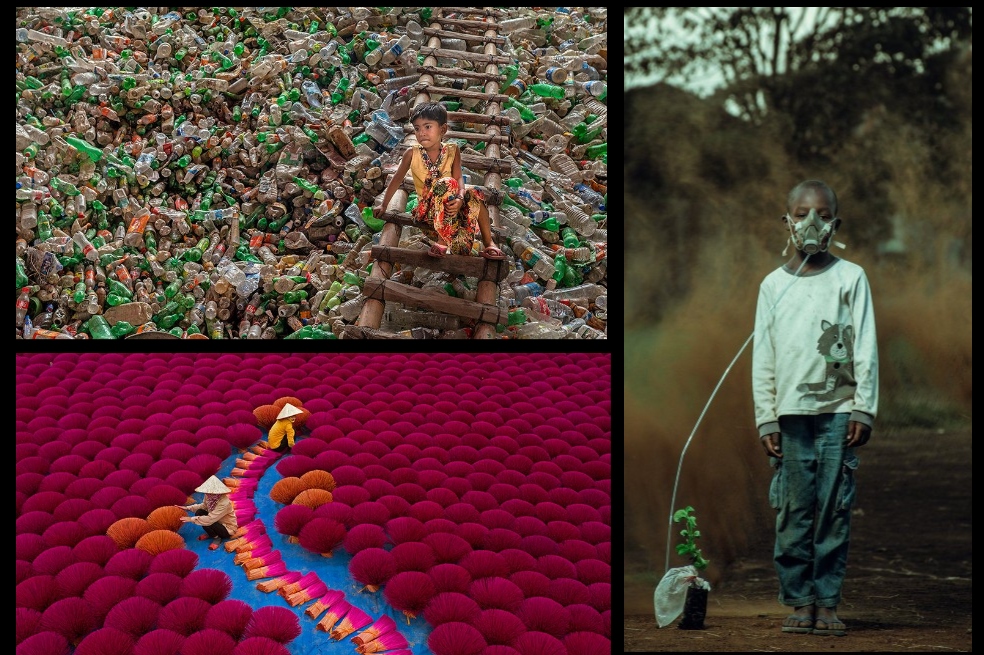 Las impactantes y dolorosas fotos ganadoras del premio al Fotógrafo Ambiental 2021