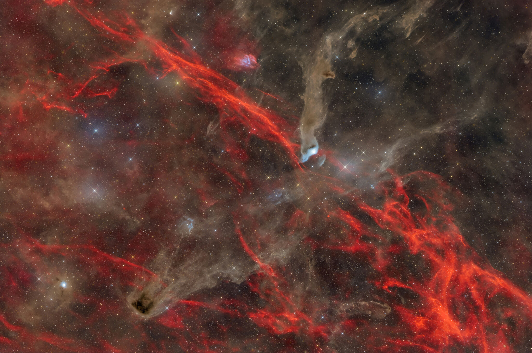 Esta rica región de Cefeo muestra múltiples etapas de la evolución estelar a través de nubes de polvo, nebulosas de reflexión y oscuras, una nebulosa planetaria y un antiguo remanente de supernova. LBN 532, LDN 1221, vdB 152 y LBN 528 revelan la intrincada interacción entre la luz, el polvo y los vientos estelares, mientras que PNG 111.0+11.6 representa la muerte pacífica de una estrella de baja masa. En conjunto, estos objetos conforman un impresionante retrato del nacimiento, la transformación y la muerte estelar en el cosmos.
