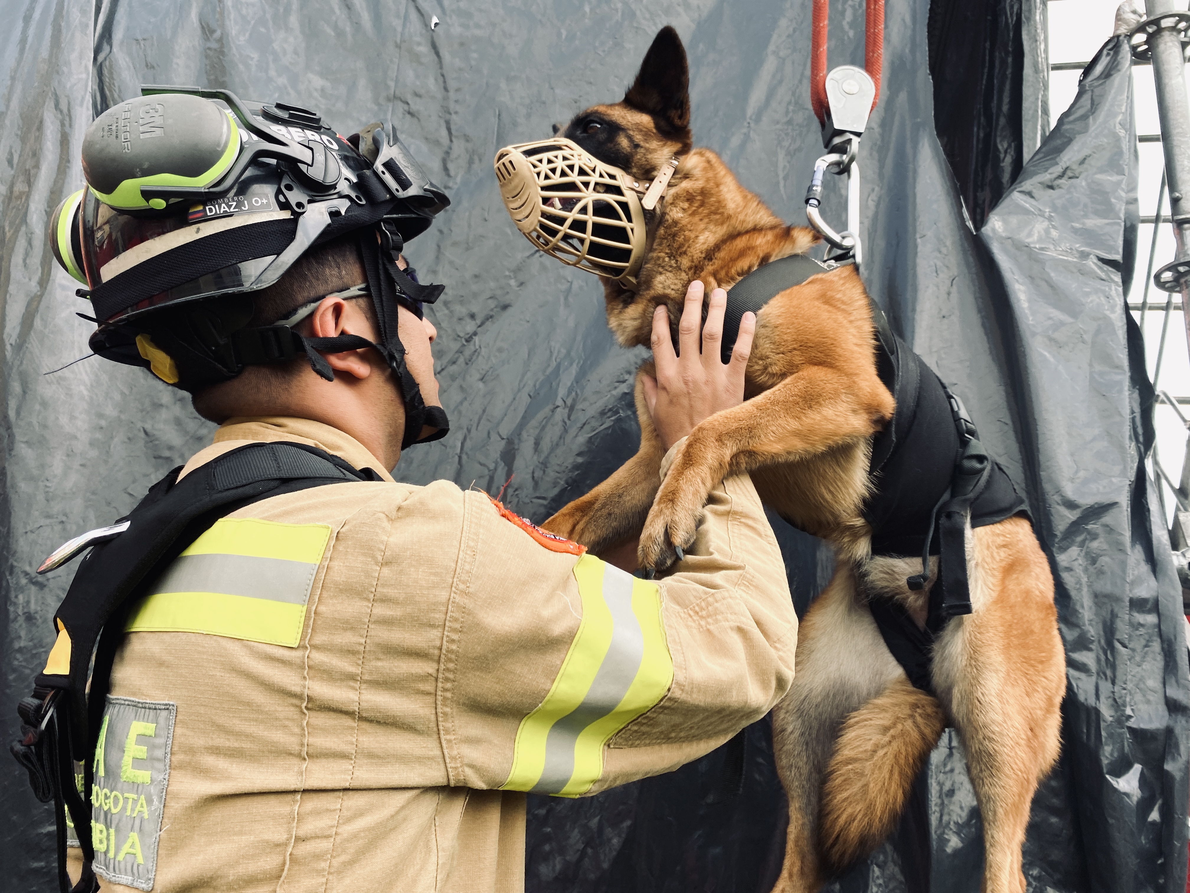 Toda vida cuenta: El grupo de bomberos de Bogotá que rescata animales en emergencia