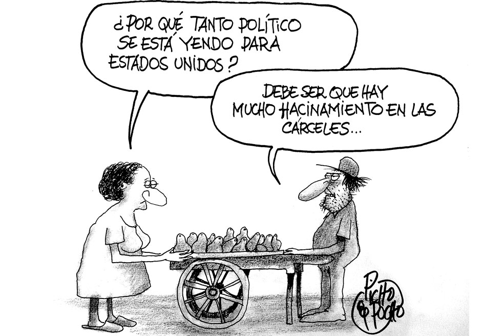 Picho y Pucho