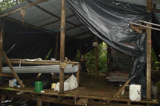 Desmantelan dos campamentos del Bloque Sur de las Farc en Caquetá