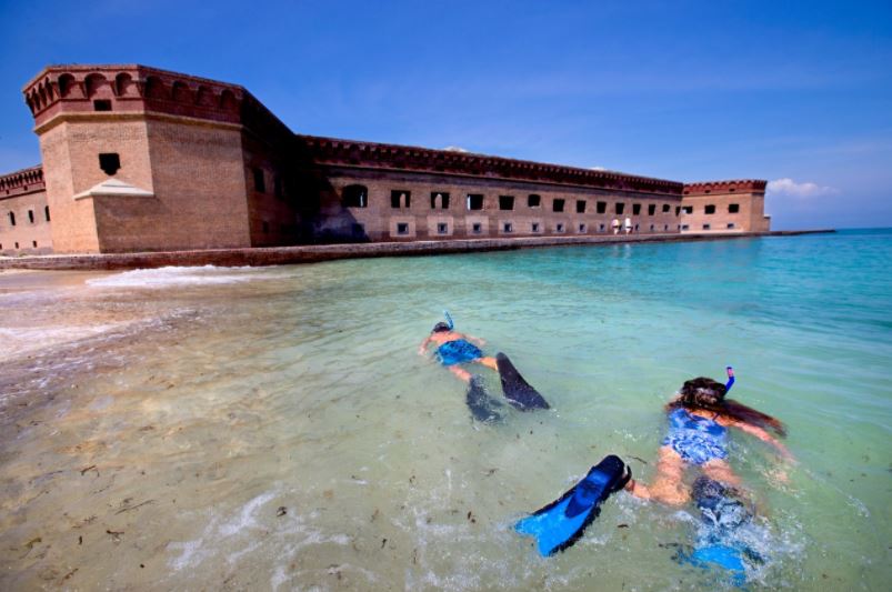 Practicar esnórquel en Dry Tortugas