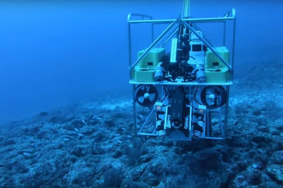“Barrendero de arrecifes”, el robot de la Florida que va tras el pez león
