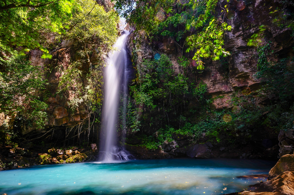 Turistas podrán compensar la huella de carbono de sus viajes a Costa Rica