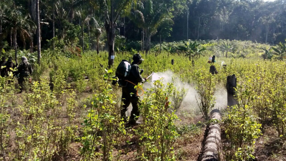 Erradicación de la coca sí, pero violenta, no