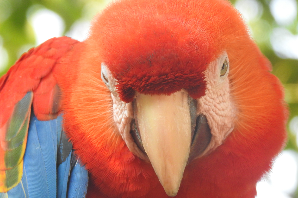 Colombia es uno de los países con mayor biodiversidad en el mundo.