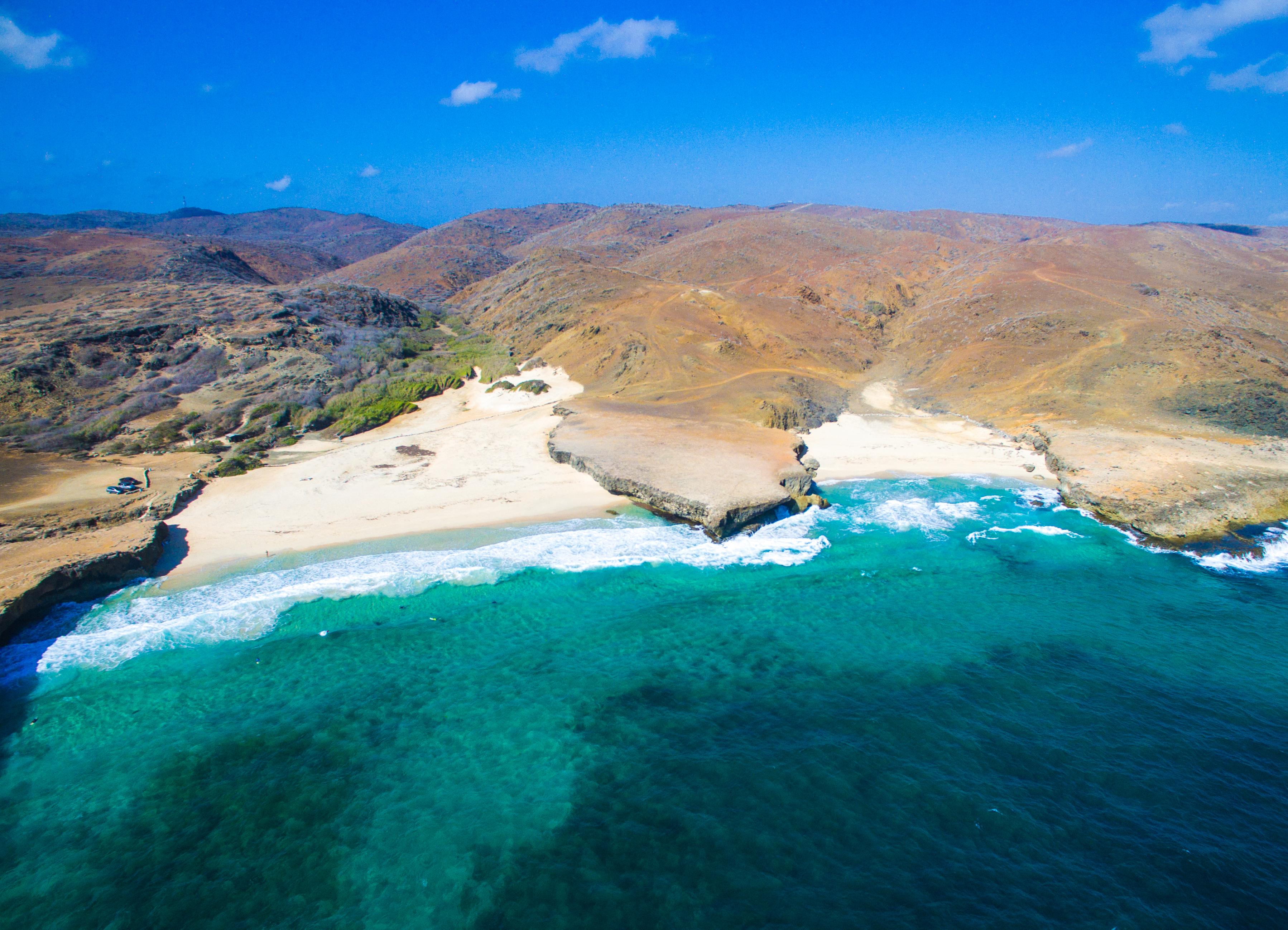 El nombre “Aruba Conservation Foundation” fue seleccionado para resumir el amplio alcance de actividades de ACF