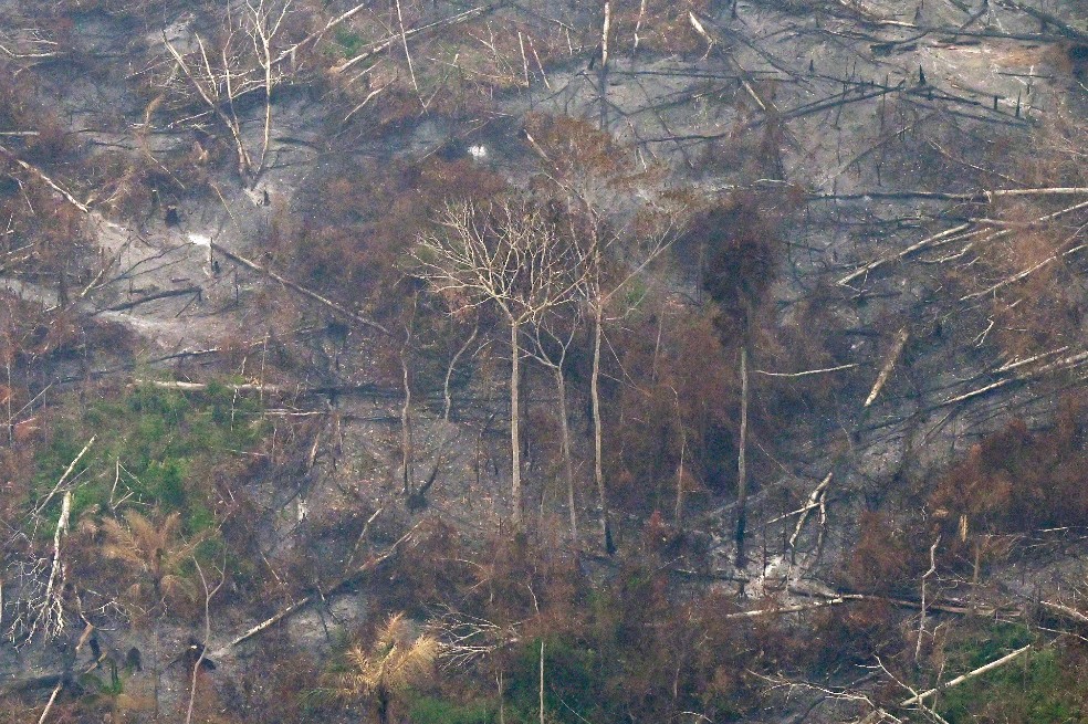 El INPE explicó que había observado en 2021 16.742 incendios, aunque ese número era prácticamente la mitad del total registrado ese mes en 2020 (32.017) y del promedio mensual, de 32.110 incendios, entre 1998 y 2021.