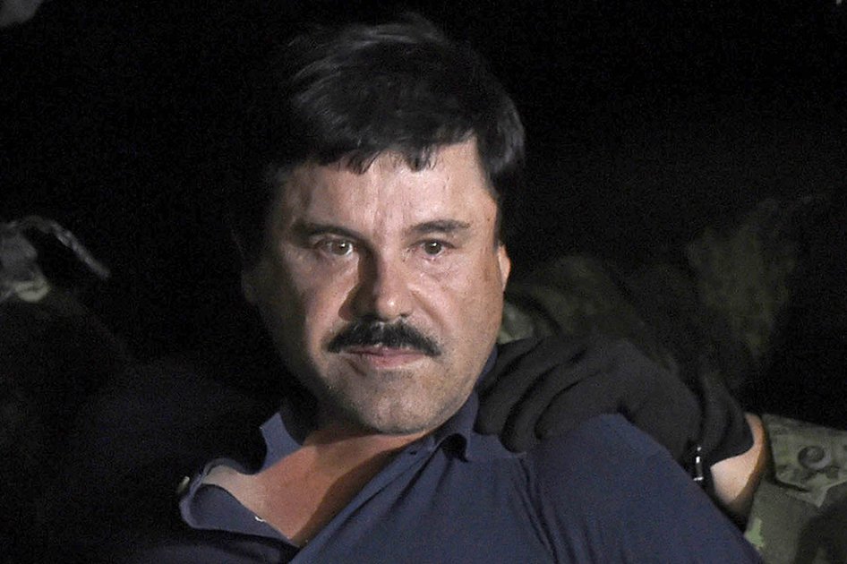 Pavos reales, cisnes y guacamayas, entre las especies exóticas del «Chapo»