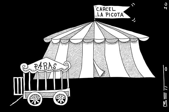 Circo