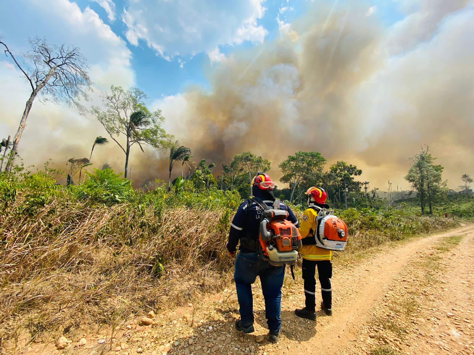 Fotos: La Macarena en llamas. Alerta por numerosos incendios que acaban el bosque