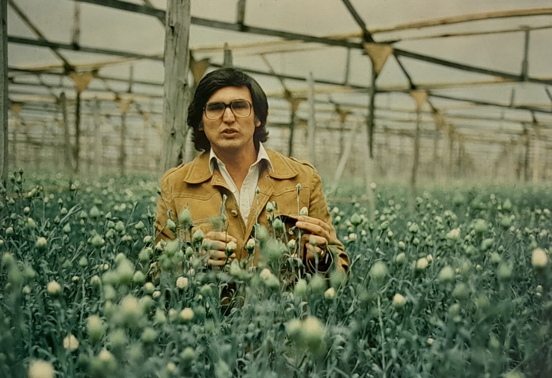 Mauricio de Narváez en un cultivo de flores al norte de Bogotá.