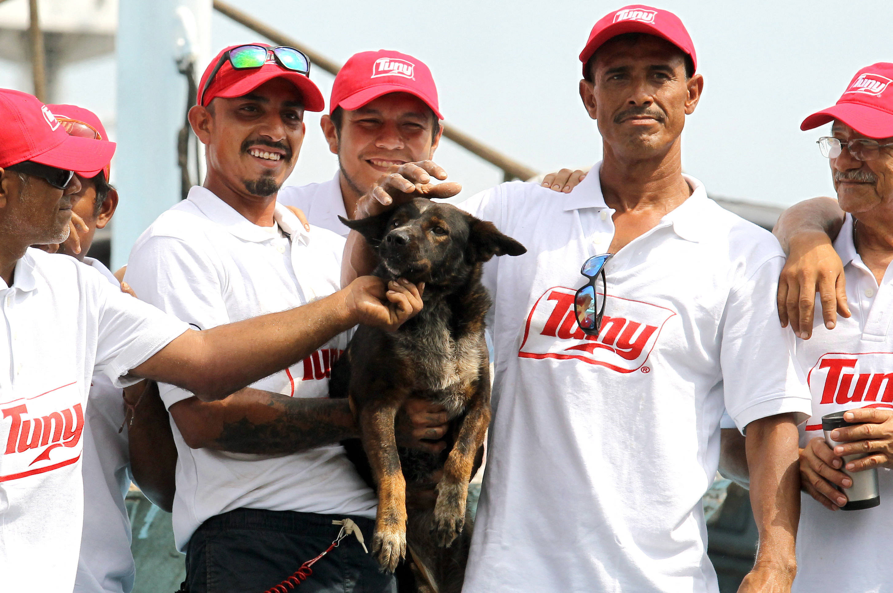 Náufrago australiano regaló a Bella, la perrita que lo acompañó durante dos meses en el mar