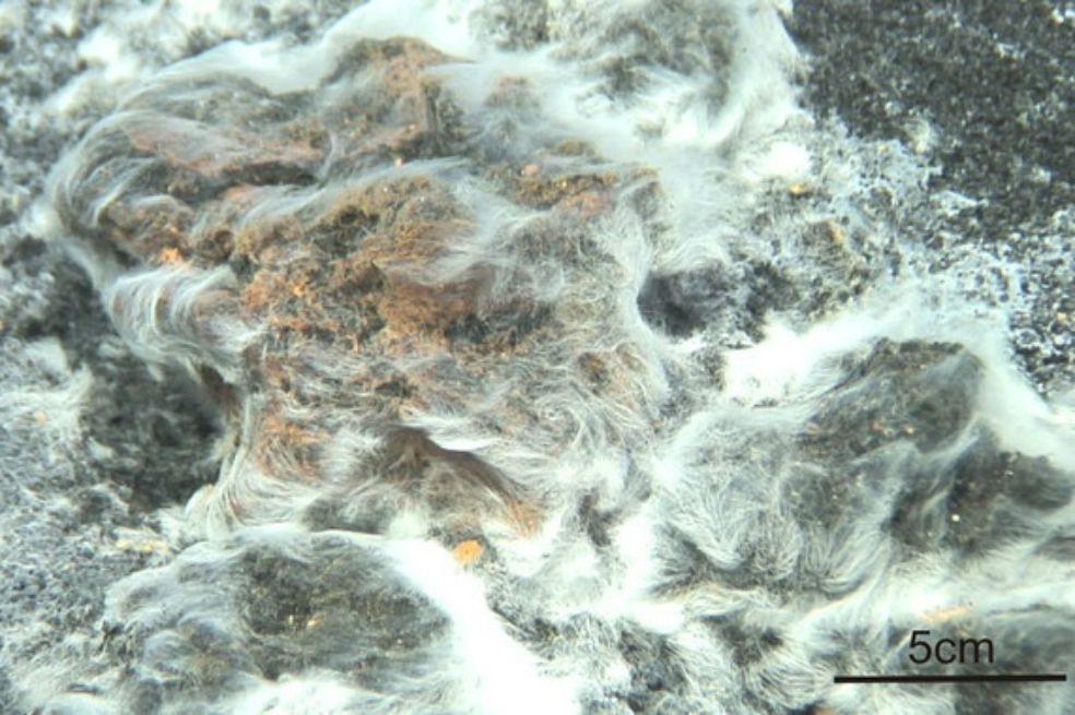 La erupción del volcán submarino de El Hierro crea una nueva bacteria