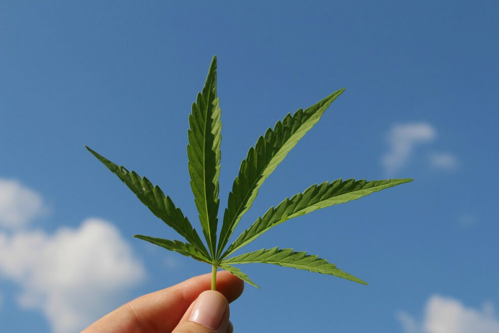 LLuvia de cannabis sobre Tierra Santa