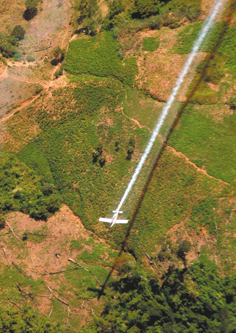 Una avioneta asperjando plantas de coca en Catatumbo, Norte de Santander, el 4 de junio de 2008 / AFP