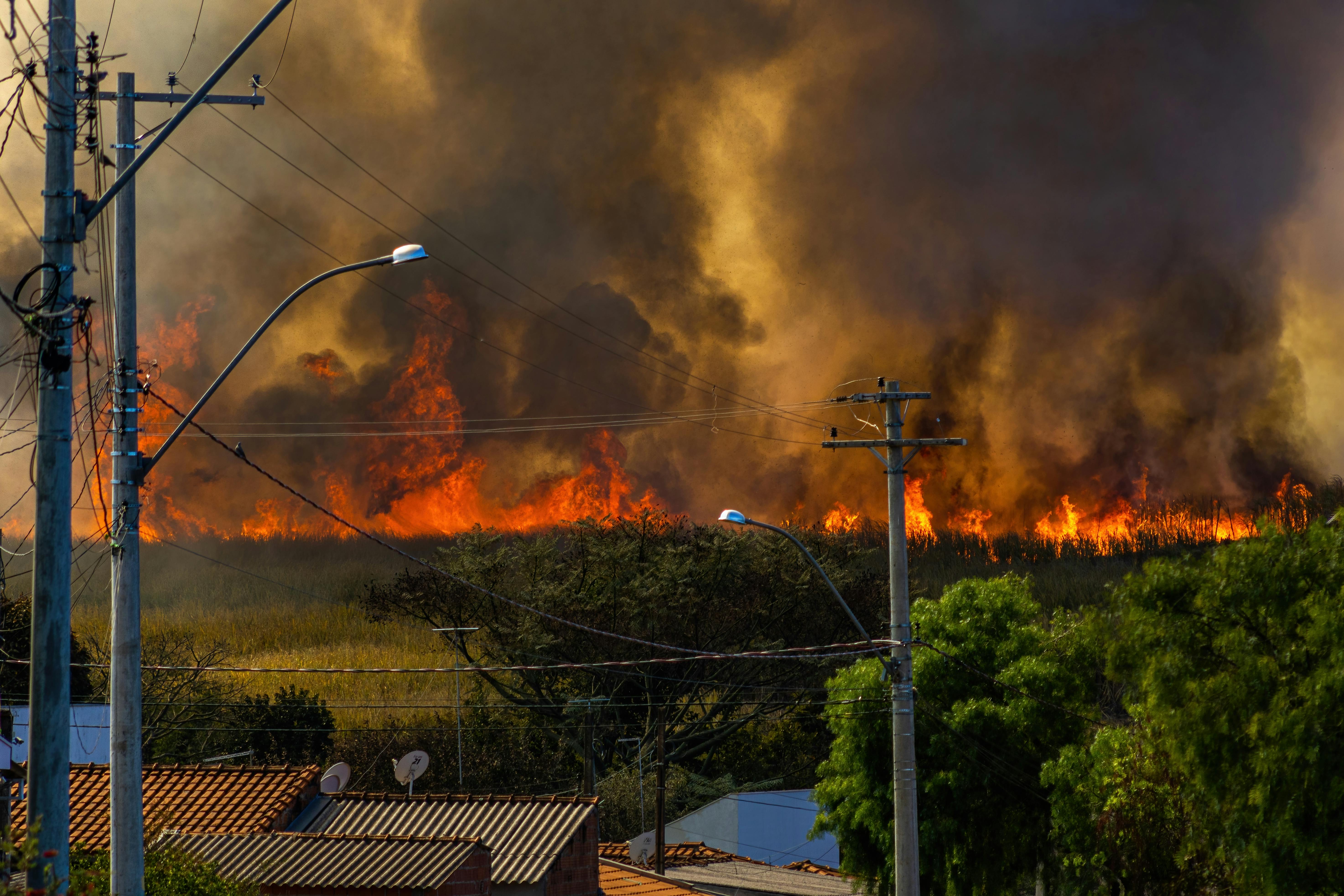 El constante paso de vehículos, tropas de soldados por desplazamiento o por entrenamiento, junto a las pruebas de armamento pueden alterar dramáticamente la estructura de los ecosistemas. Por ejemplo, cuando se trata de explosiones, es inevitable que se produzcan erosiones que paulatinamente modificarán la capacidad de la tierra de sostenerse y mantener la vegetación.