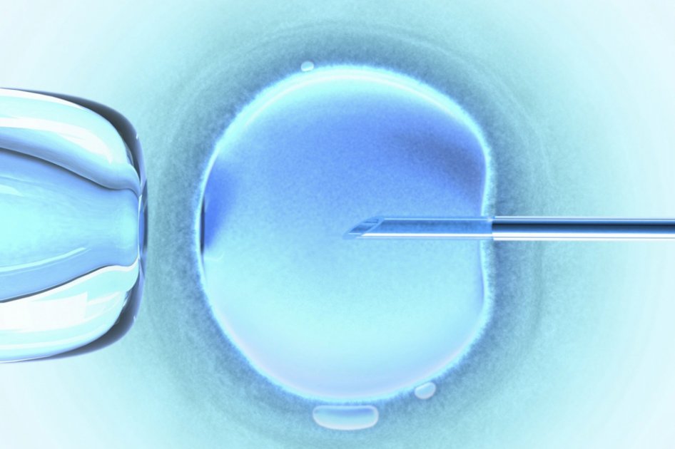Luz verde para los bebés con tres padres