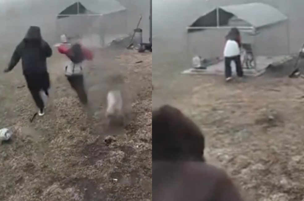 Niño salva a su perro al meterlo en casa minutos antes de un tornado (video)