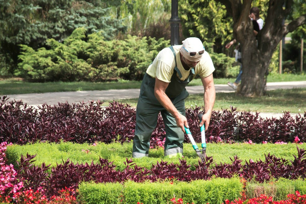 Empleadores tienen hasta el 30 de junio para pagar prima de servicios