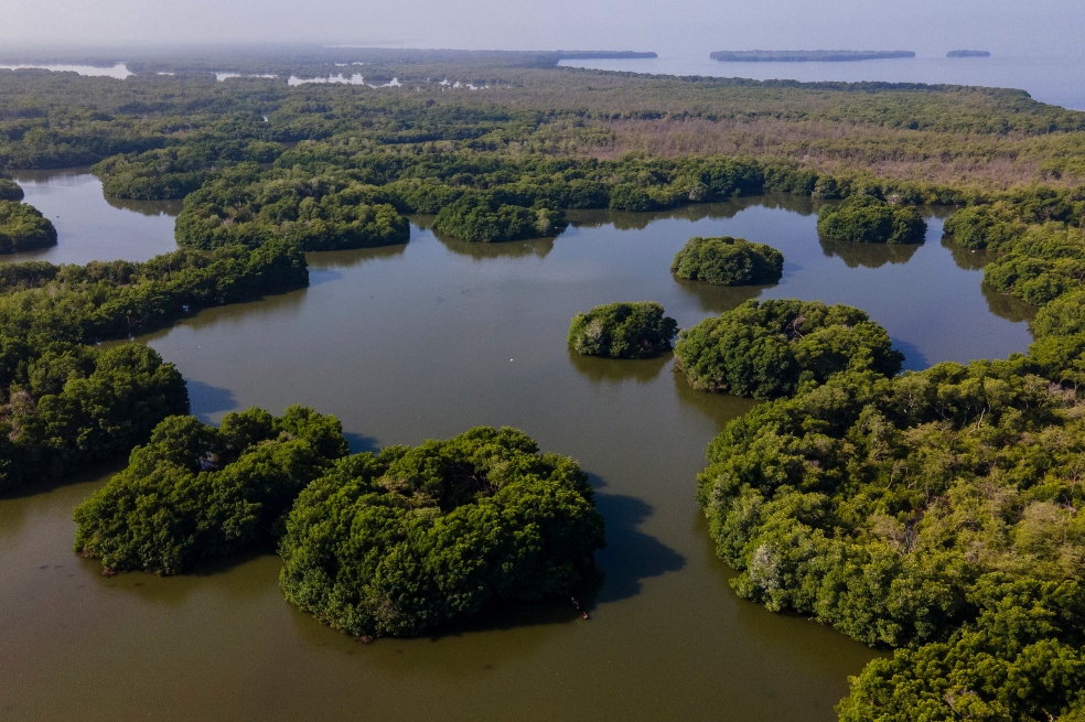 Ciénaga Grande de Santa Marta.