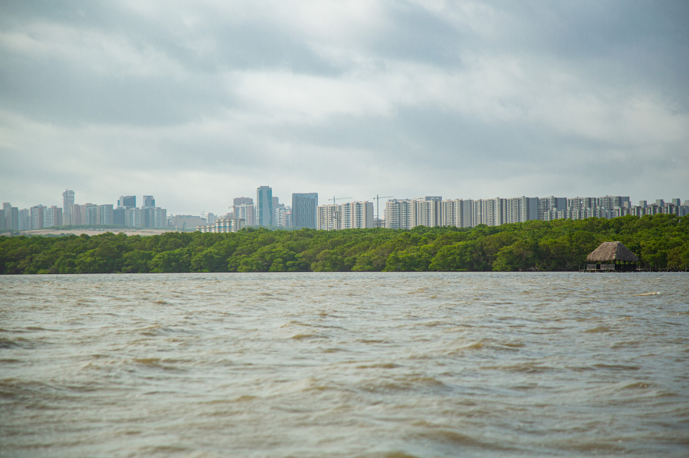 La disputa por las obras alrededor de la ciénaga más importante de Barranquilla