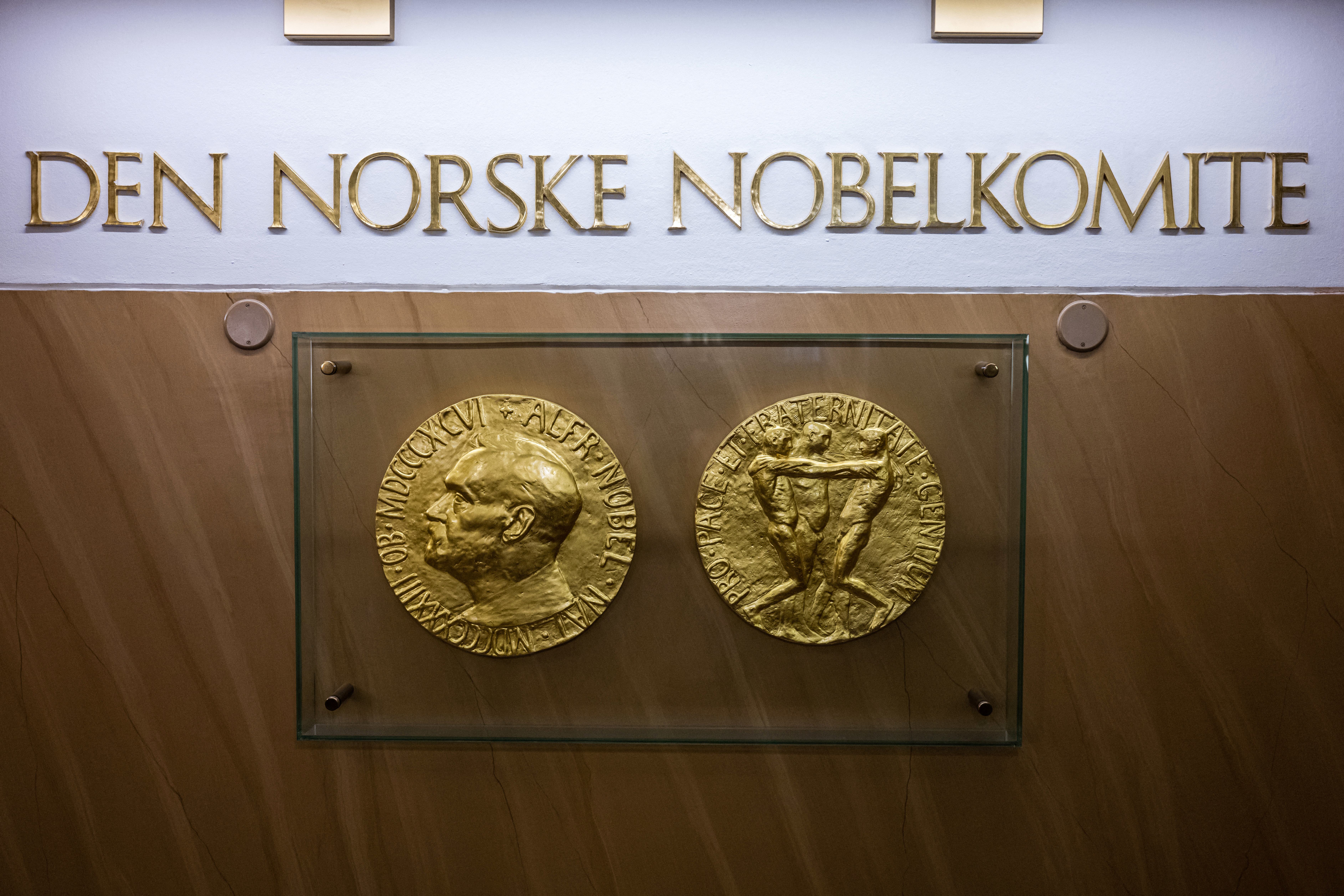 Los candidatos al Nobel de Economía 2024: ¿cuánto dinero recibirá el ganador?