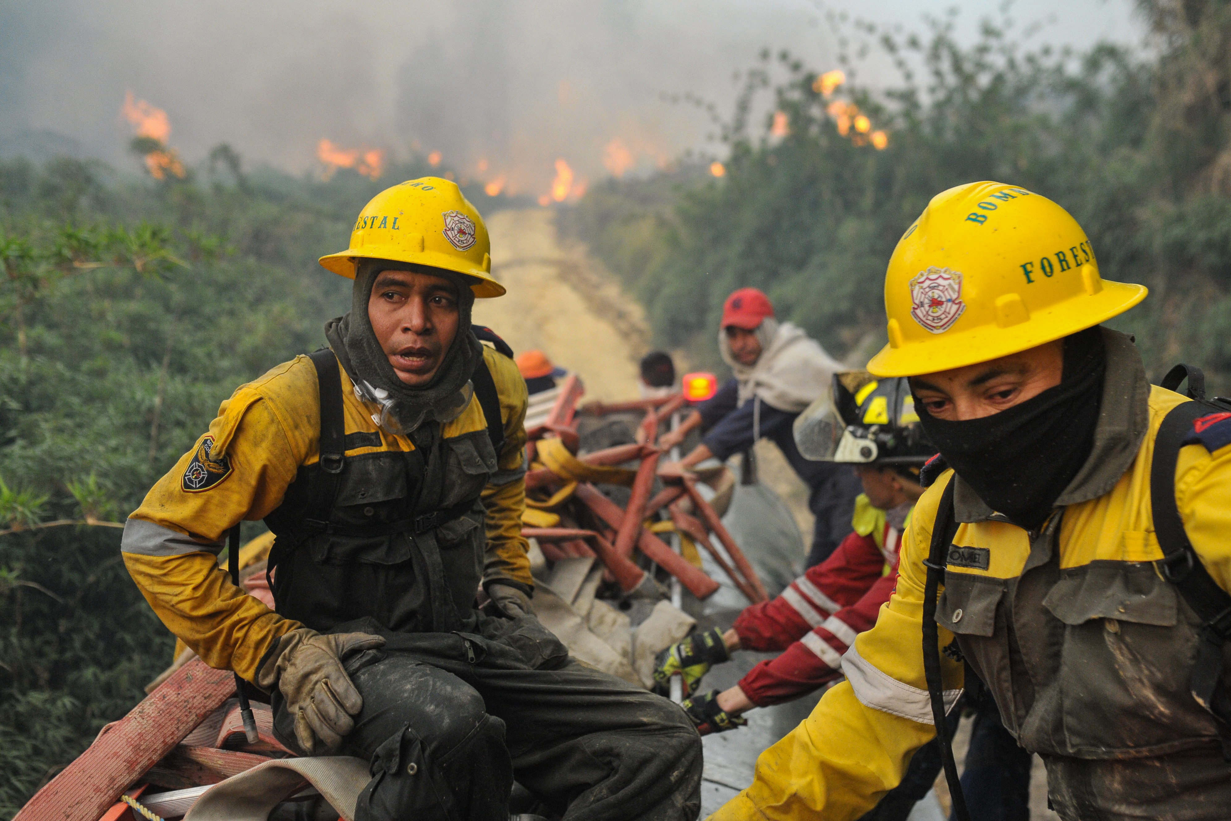 La guerra contra los incendios forestales