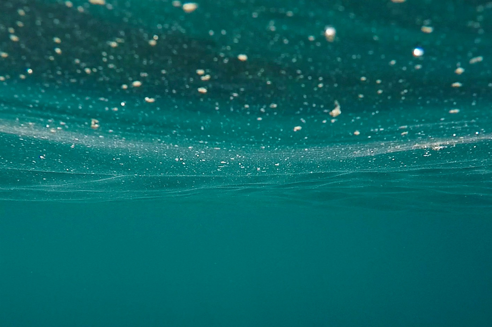 El fondo del mar está compuesto, en gran medida, de la calcita mineral (CaCO3) formada por los esqueletos y conchas de organismos planctónicos y corales. / Pixabay