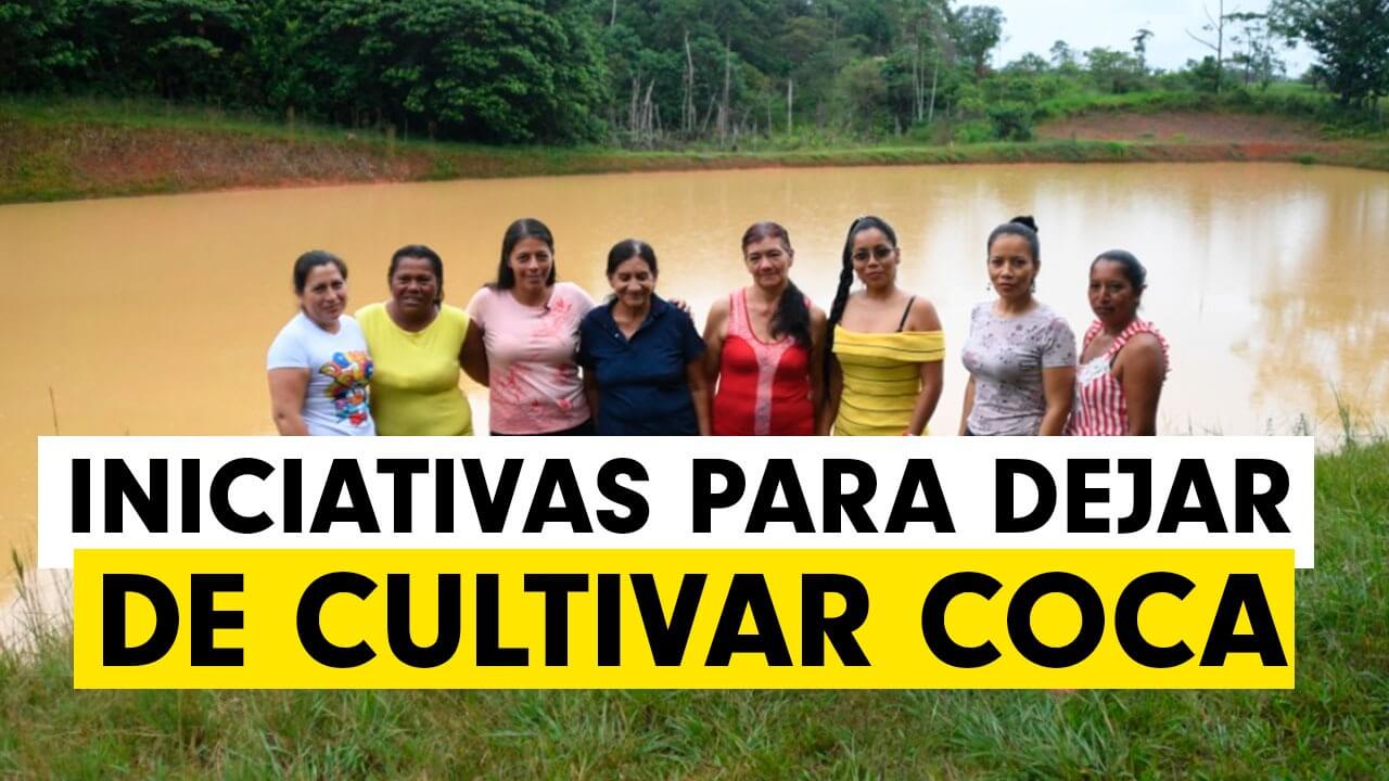 Vida sin coca: las mujeres que le apostaron a la cachama y al chontaduro