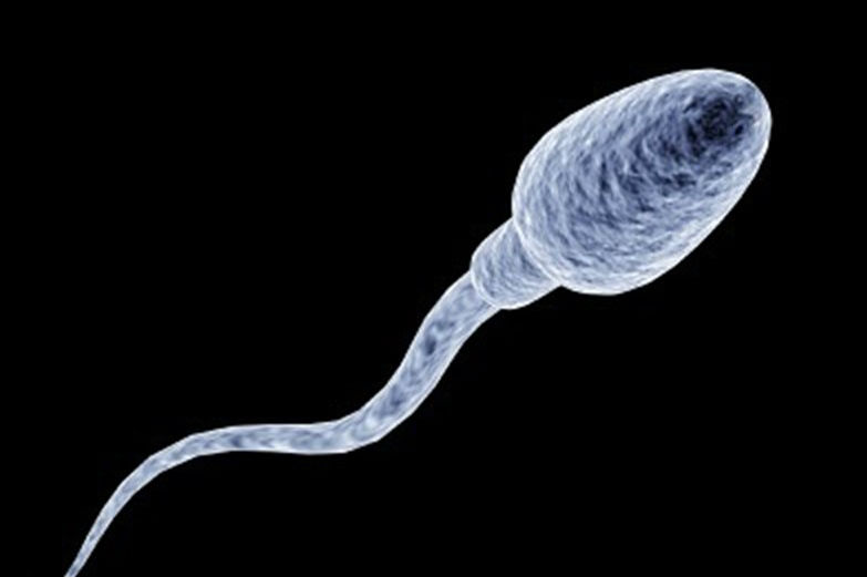 La edad del hombre no influye en la calidad del semen