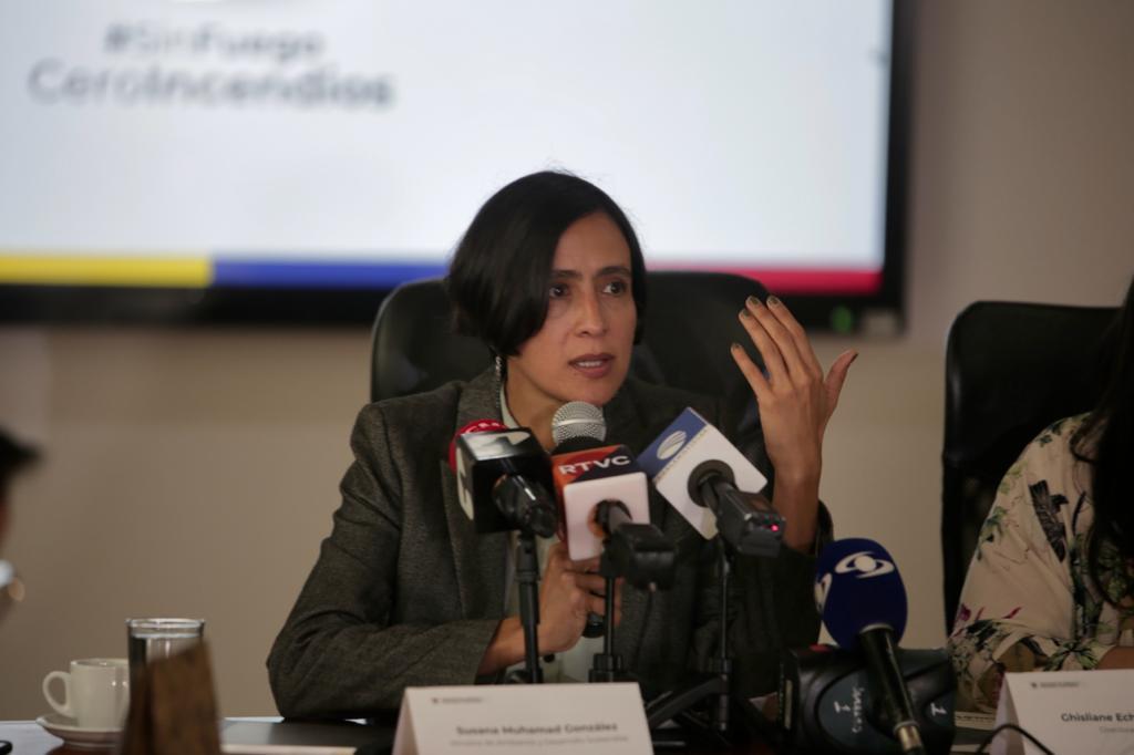 Por primera vez en 10 años disminuye la deforestación: 29 % en 2022 frente al año anterior