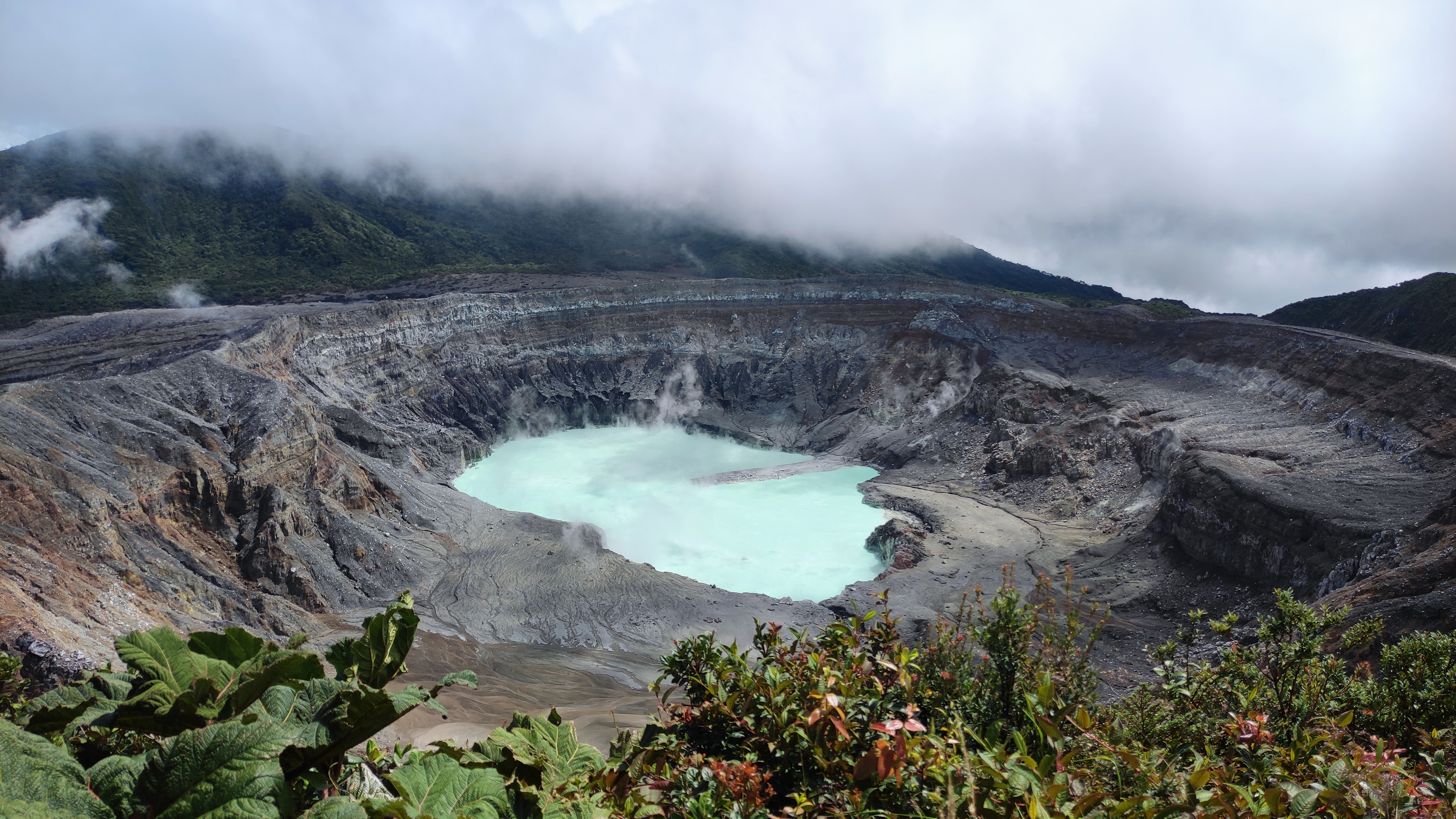 ¡Pura vida!: un viaje a Costa Rica, un edén que despierta los sentidos